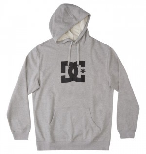 Bluzy DC Shoes DC Star Męskie Szare | 51RBKCEMV