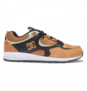 Buty Skate DC Shoes Kalis Lite Męskie Brązowe Czarne Białe | 79FJGSCKB