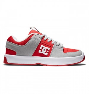 Buty Skate DC Shoes Lynx Zero Męskie Szare Czerwone | 59KMWSRPX