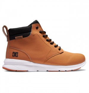 Buty Zimowe DC Shoes Mason 2 Wody Resistant Męskie Brązowe Czarne | 71SGVIDPJ