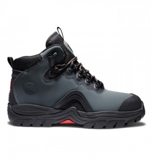 Buty Zimowe DC Shoes Navigator Koronkowe Męskie Szare Czarne | 64WIADVFU