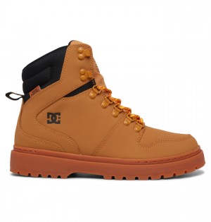 Buty Zimowe DC Shoes Peary Koronkowe Męskie Brązowe Czarne | 73IWGKZCP