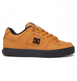 Buty Zimowe DC Shoes Pure Winterized Skate Męskie Brązowe | 16VRSBLZI