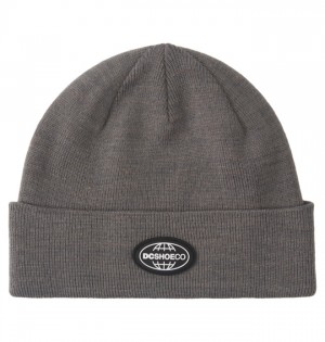 Kapelusz DC Shoes Trotter Beanie Męskie Niebieskie Szare | 56CDKPZJV