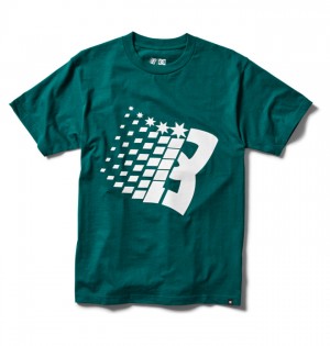 Koszulki DC Shoes Bronze56K x DC Star Heritage Męskie Zielone | 24KCQDVXH