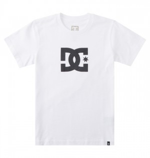 Koszulki DC Shoes DC Star Dziecięce Białe | 28FJSVCLT