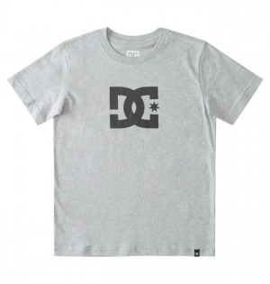 Koszulki DC Shoes DC Star Dziecięce Szare | 06AUHXBLY