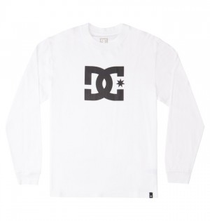 Koszulki DC Shoes DC Star Long Sleeve Męskie Białe | 96RWQMZOL