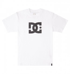 Koszulki DC Shoes DC Star Męskie Białe | 37GEQDXRI