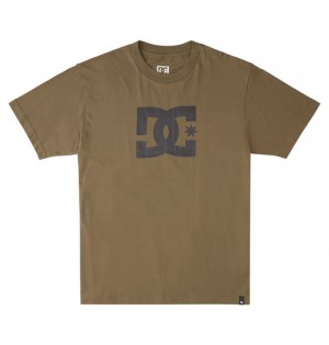 Koszulki DC Shoes DC Star Męskie Ciemny Zielone | 94RCJMIDE