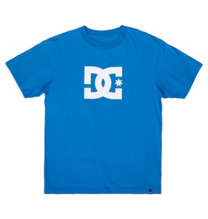 Koszulki DC Shoes DC Star Męskie Niebieskie | 23ZDFRHIT