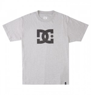 Koszulki DC Shoes DC Star Męskie Szare | 07FTMJRQD