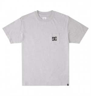 Koszulki DC Shoes DC Star Męskie Szare | 71CXQBSDG