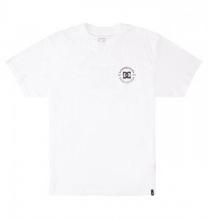 Koszulki DC Shoes DC Star Pilot Męskie Białe | 54NEXGKWF