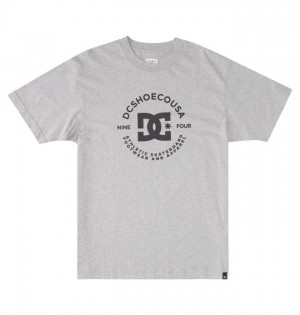 Koszulki DC Shoes DC Star Pilot Męskie Szare | 59NUAPMWB