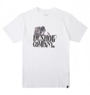 Koszulki DC Shoes Fanatic Heritage Męskie Białe | 20MHKLJIP