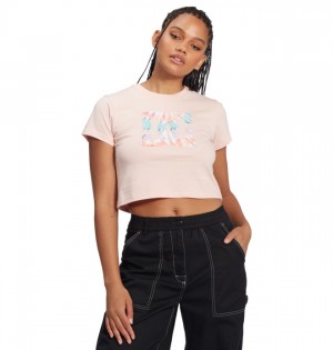 Koszulki DC Shoes Star Cropped Damskie Różowe | 45BCEIWRL