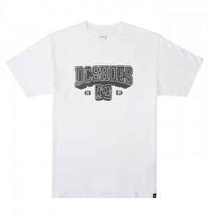 Koszulki DC Shoes Strong Hold Heritage Męskie Białe | 56DBCEWJL