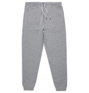Spodnie DC Shoes Riot 2 Sweatpants Męskie Szare | 50QMZDAJN