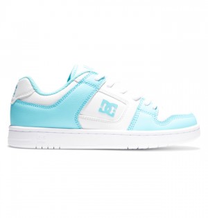 Trampki DC Shoes Manteca 4 Damskie Białe Niebieskie | 15SNCVTWL