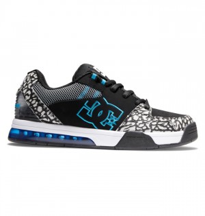 Trampki DC Shoes Versatile Męskie Szare Czarne Niebieskie | 53AVKZRWL